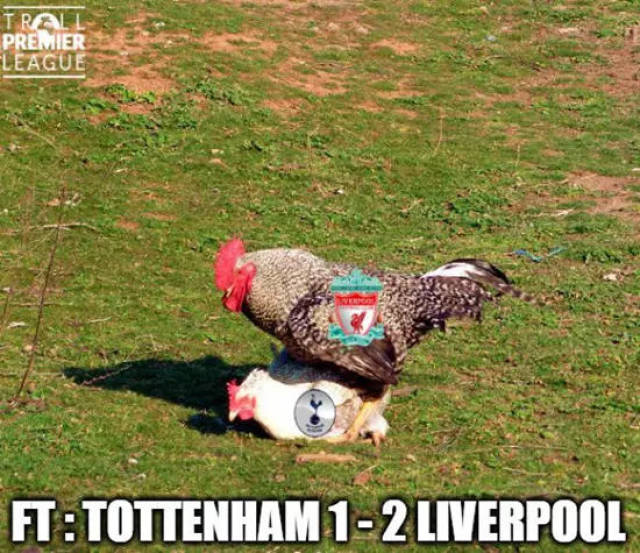 [2026年01月17日]留洋先驱杨晨52岁生日，FIFA官方发文送祝福